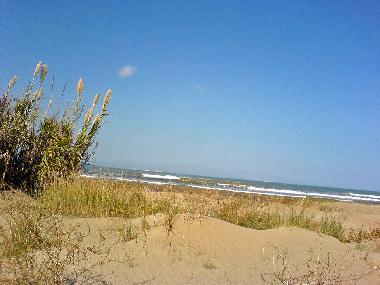 Maison de vacances /en/au Deltebre - Riumar (Tarragona)ou appartement ou maison de vacances