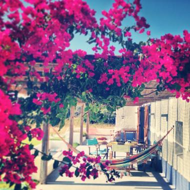 Maison de vacances �/en/au Melides (Alentejo Litoral)ou appartement ou maison de vacances