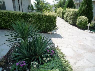 Appartement de vacances �/en/au sunny beach (Burgas)ou appartement ou maison de vacances