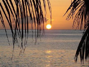 Appartement de vacances �/en/au saint fran�ois (Guadeloupe)ou appartement ou maison de vacances