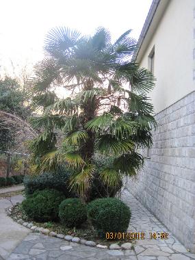 Villa �/en/au kotor (Mont�n�gro)ou appartement ou maison de vacances