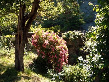 Maison de vacances /en/au Borgo Val di Taro (Parma)ou appartement ou maison de vacances