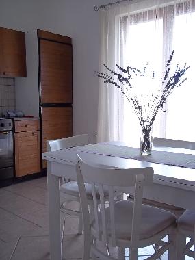 Appartement de vacances �/en/au Novigrad (Zadarska)ou appartement ou maison de vacances