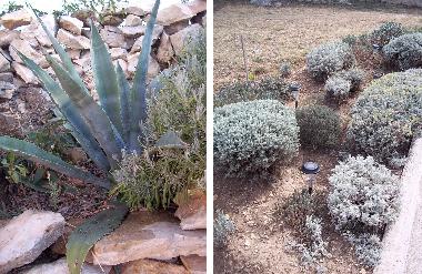 Appartement de vacances �/en/au Novigrad (Zadarska)ou appartement ou maison de vacances