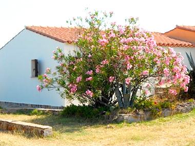 Maison de vacances /en/au TORRE DEI CORSARI - Medio Campidano (Medio Campidano)ou appartement ou maison de vacances