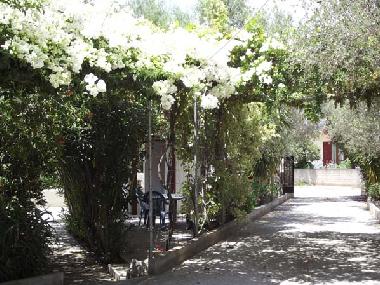 Appartement de vacances /en/au Chania-Gavalochori (Chania)ou appartement ou maison de vacances