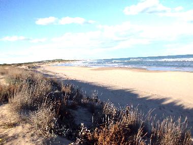 Appartement de vacances /en/au Guardamar del Segura (Alicante / Alacant)ou appartement ou maison de vacances