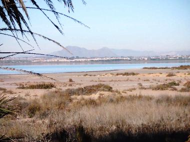 Appartement de vacances /en/au Guardamar del Segura (Alicante / Alacant)ou appartement ou maison de vacances