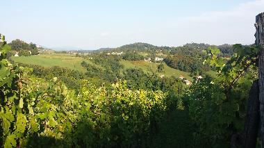 Maison de vacances /en/au Zagorska Sela (Krapinsko-Zagorska)ou appartement ou maison de vacances