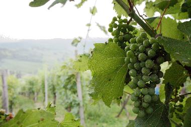 Maison de vacances /en/au Zagorska Sela (Krapinsko-Zagorska)ou appartement ou maison de vacances