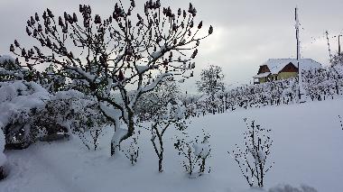Maison de vacances /en/au Zagorska Sela (Krapinsko-Zagorska)ou appartement ou maison de vacances