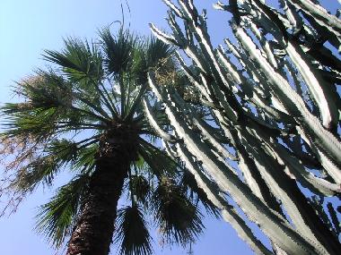 Maison de vacances /en/au Tropea (Vibo Valentia)ou appartement ou maison de vacances