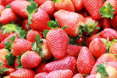 Appartement de vacances �/en/au Jerusalem (Yerushalayim (Jerusalem))ou appartement ou maison de vacances