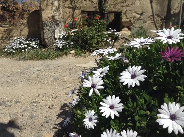 Maison de vacances /en/au Pera Orinis (Nicosia)ou appartement ou maison de vacances