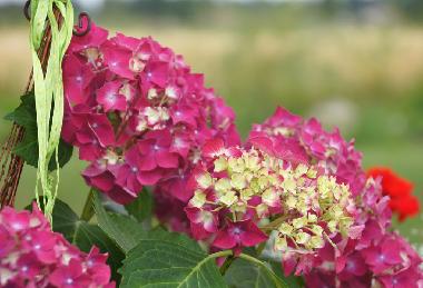 Maison de vacances �/en/au B�rnau / Schwarzenbach (Oberpfalz)ou appartement ou maison de vacances