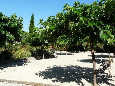 Les mriers du boulodrome