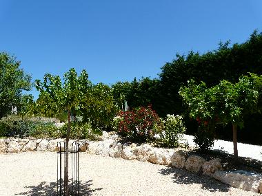 Accs - Portail automatique