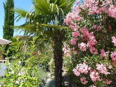 Maison de vacances /en/au Les mages (Gard)ou appartement ou maison de vacances
