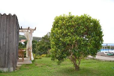 Maison de vacances /en/au Nordeste (Azores)ou appartement ou maison de vacances