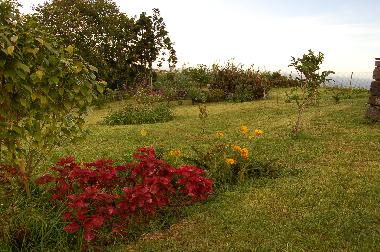 Maison de vacances /en/au Nordeste (Azores)ou appartement ou maison de vacances