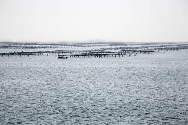 Maison de vacances /en/au Bouzigues (Hrault)ou appartement ou maison de vacances