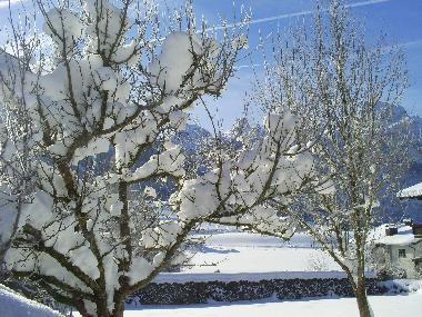 Appartement de vacances /en/au Abtenau (Salzburg und Umgebung)ou appartement ou maison de vacances