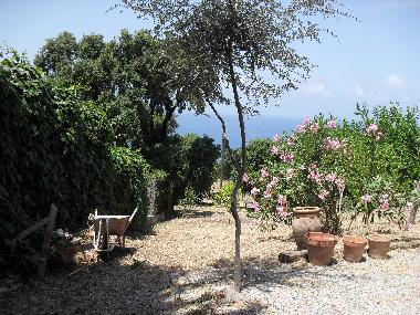 Maison de vacances �/en/au Cefal� (Palermo)ou appartement ou maison de vacances