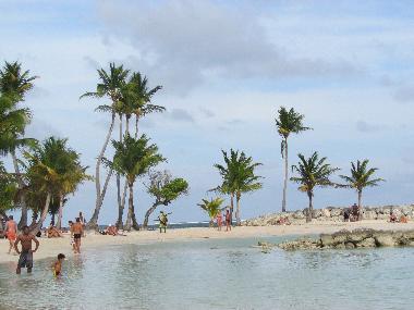 Chalet �/en/au Sainte Anne (Guadeloupe)ou appartement ou maison de vacances