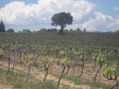 Chambre avec petit djeuner /en/au BADENS (Aude)ou appartement ou maison de vacances