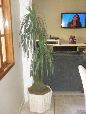 Maison de vacances �/en/au praia da bandeira (Rio de Janeiro)ou appartement ou maison de vacances