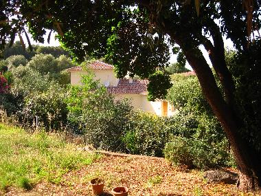 Appartement de vacances /en/au LUMIO (Haute-Corse)ou appartement ou maison de vacances