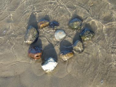 Appartement de vacances �/en/au Beckerwitz (Mecklenburgische Ostseek�ste)ou appartement ou maison de vacances