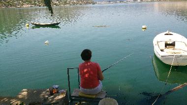 Appartement de vacances /en/au Rogotin (Dubrovacko-Neretvanska)ou appartement ou maison de vacances