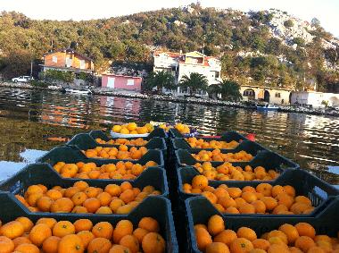 Appartement de vacances /en/au Rogotin (Dubrovacko-Neretvanska)ou appartement ou maison de vacances