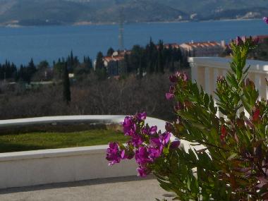 Appartement de vacances /en/au CAVTAT (Dubrovacko-Neretvanska)ou appartement ou maison de vacances