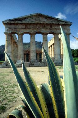 Maison de vacances �/en/au Trappeto (Palermo)ou appartement ou maison de vacances