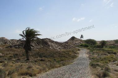 Appartement de vacances �/en/au Sal Rei (Boa Vista)ou appartement ou maison de vacances