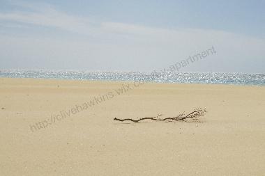 Appartement de vacances �/en/au Sal Rei (Boa Vista)ou appartement ou maison de vacances