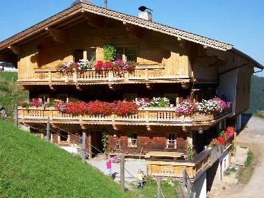 Appartement de vacances /en/au Wildschnau (Tiroler Unterland)ou appartement ou maison de vacances