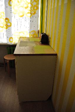 Appartement de vacances �/en/au Saint Petersburg (Sankt-Peterburg)ou appartement ou maison de vacances