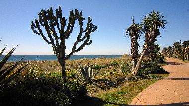 Appartement de vacances �/en/au Canselada (M�laga)ou appartement ou maison de vacances