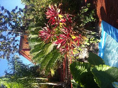 Villa �/en/au Rio san Juan  (Sanchez Ramirez)ou appartement ou maison de vacances