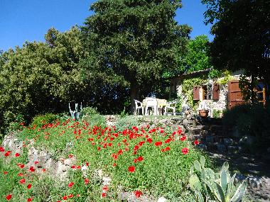 Appartement de vacances /en/au Montecatini Val di Cecina (Pisa)ou appartement ou maison de vacances