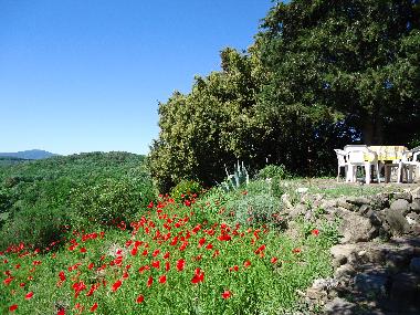 Appartement de vacances /en/au Montecatini Val di Cecina (Pisa)ou appartement ou maison de vacances