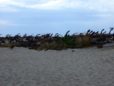 Maison de vacances �/en/au Luz de Tavira (Algarve)ou appartement ou maison de vacances