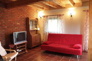 Maison de vacances /en/au Borowe (Warminsko-Mazurskie)ou appartement ou maison de vacances