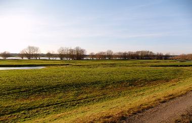 Maison de vacances /en/au Kietz an der Elbe (Prignitz)ou appartement ou maison de vacances