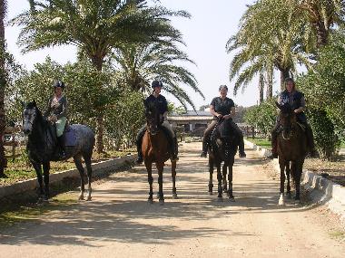 Maison de vacances /en/au Arcos de la Frontera (Cdiz)ou appartement ou maison de vacances
