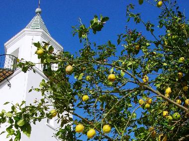 Maison de vacances /en/au Arcos de la Frontera (Cdiz)ou appartement ou maison de vacances