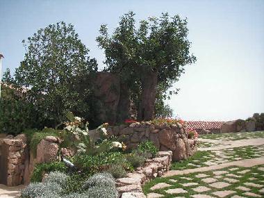 Villa /en/au Porto Cervo (Olbia-Tempio)ou appartement ou maison de vacances